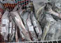 В Хабаровском крае продолжается сезон промысла рыб лососевых пород