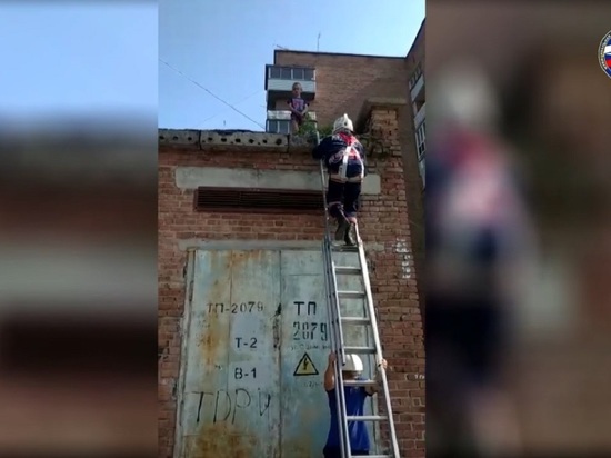 Ребенка сняли с крыши трансформаторной будки спасатели в Новосибирске
