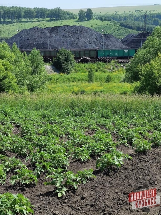 Жители кузбасской деревни пожаловались на угольный склад под огородом