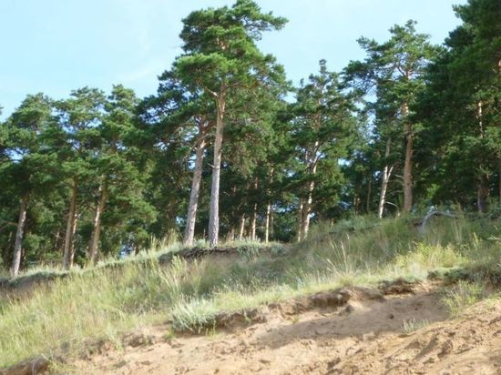 Пропавший в Омском районе глухой ребёнок ушёл за 20 км от дома, где и нашёлся