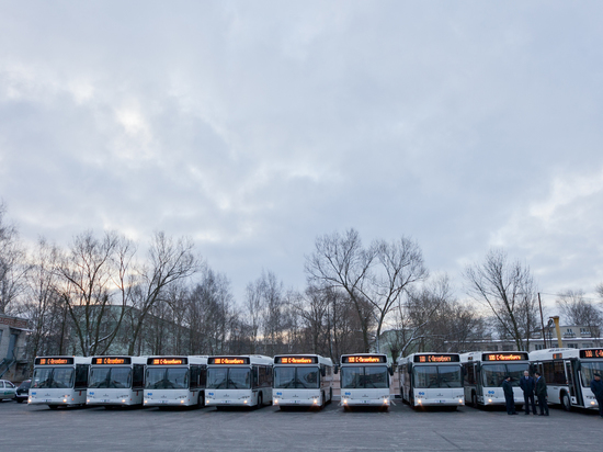 В Петербурге появятся почти три тысячи новых автобусов
