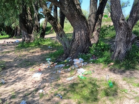 Новгородцы недовольны горами мусора на Мячинских озерах