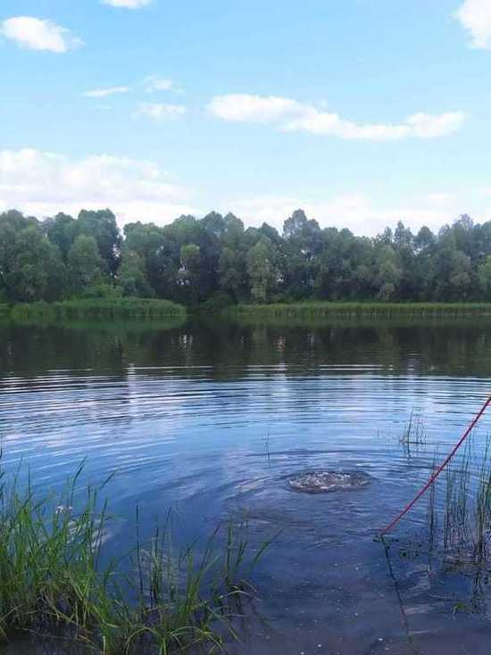 В Менделеевском районе мужчина утонул во время купания в необорудованном месте