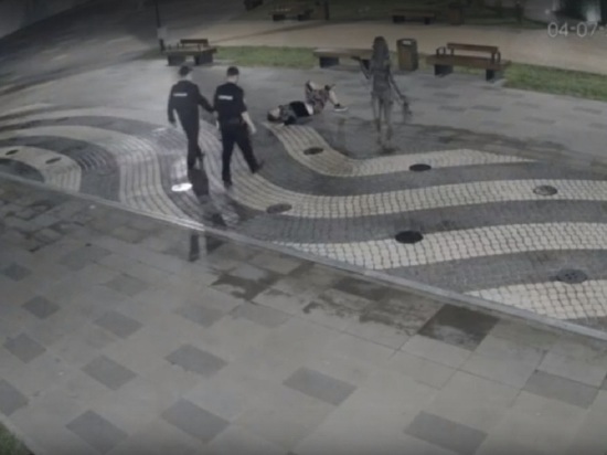В великолукском парке полиция поймала вандала