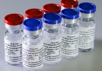На минувших выходных в Красноярск привезли очередную партию вакцины российского производства от новой коронавирусной инфекции «Спутник V»