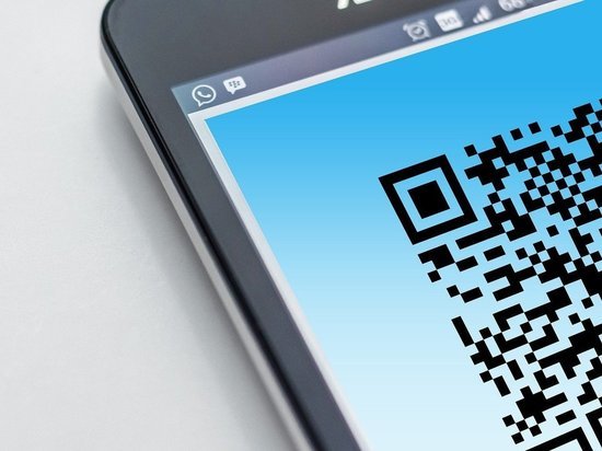 В Якутии запретили посещать госорганы без QR-кодов