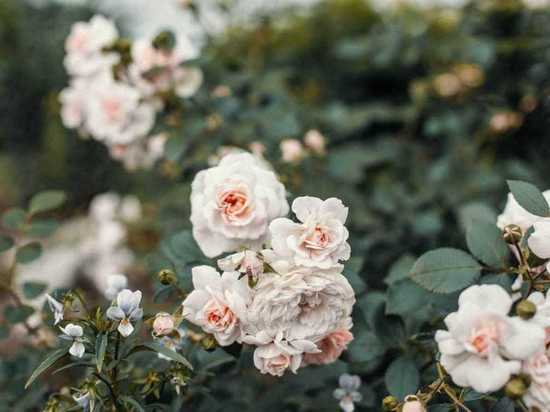 Озвучен прогноз погоды в Хабаровске и крае на 6 июля 2021 года