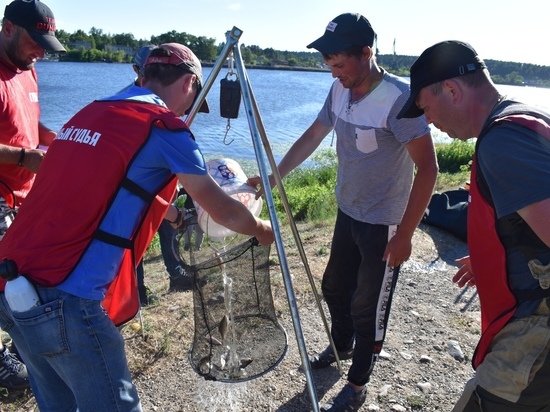Костромичи стали лучшими на Кубке Ивановской области по ловле рыбы поплавочной удочкой