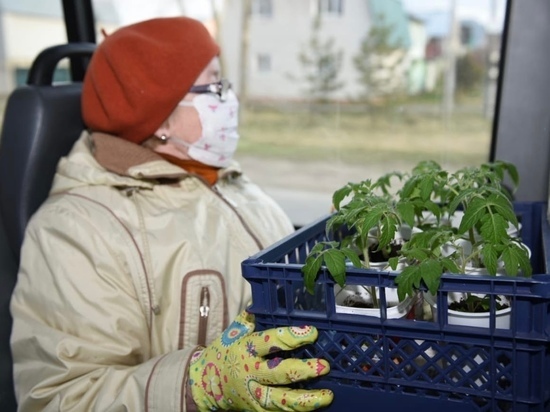 Ижевские пенсионеры могут ездить на пригородных автобусах по половинной цене