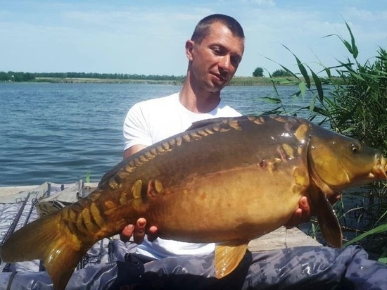 Карпа весом 8 кг поймали в одном из водоёмов Краснодарского края