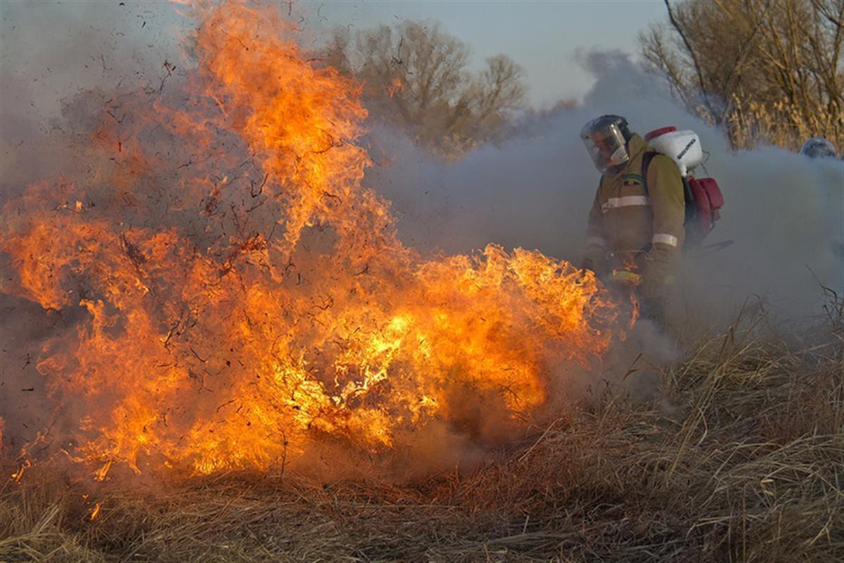 Костромских пожарных, боровшихся с огнем в Макарьевском районе, представят к наградам