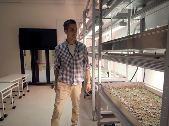 В России обновили образовательные стандарты