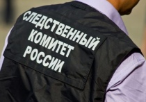 Следственный комитет по Омской области возбудил уголовное дело по факту аварии, в которой погибла 10-летняя девочка