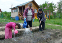 Синоптики предупредили россиян о засухе, которая установится в июле на территории Центральной России