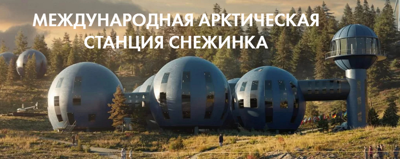 Арктический проект снежинка