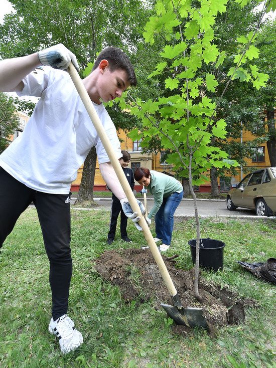 ЧМК ведет озеленение дворов Челябинска