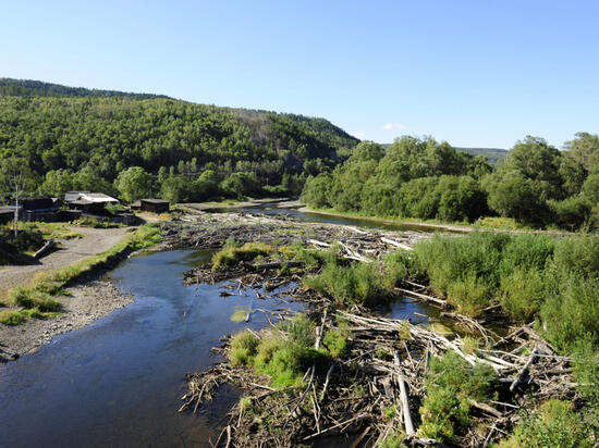 В Хабаровском крае русла рек Тумнин и Худями расчистят и углубят