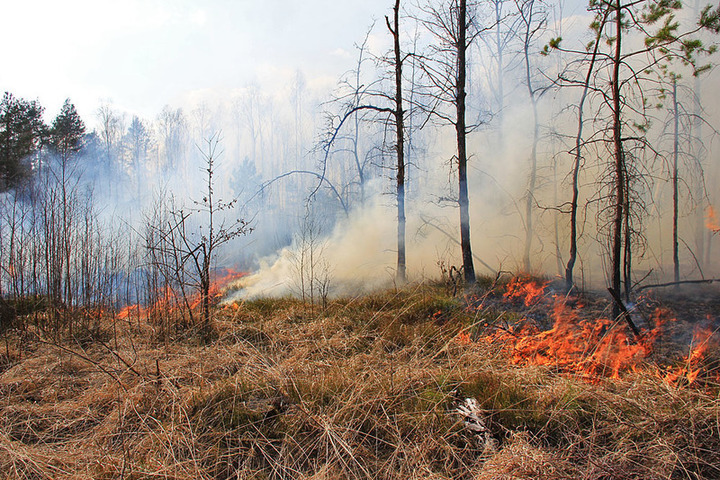 Костромские леса: в Макарьевском лесничестве опять тушат пожар