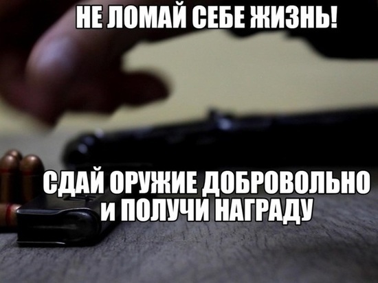 Незаконное хранение оружия и боеприпасов – уголовно наказуемое деяние
