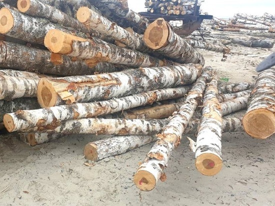 Заготовка дров на предстоящую зиму с учетом пожеланий тундровиков началась в Ямальском районе