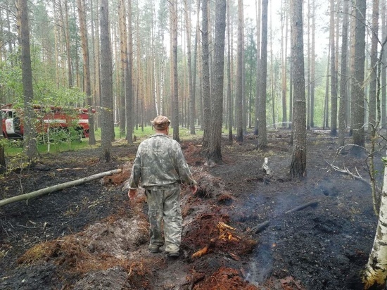 Лесной пожар в Макарьевском районе локазизован