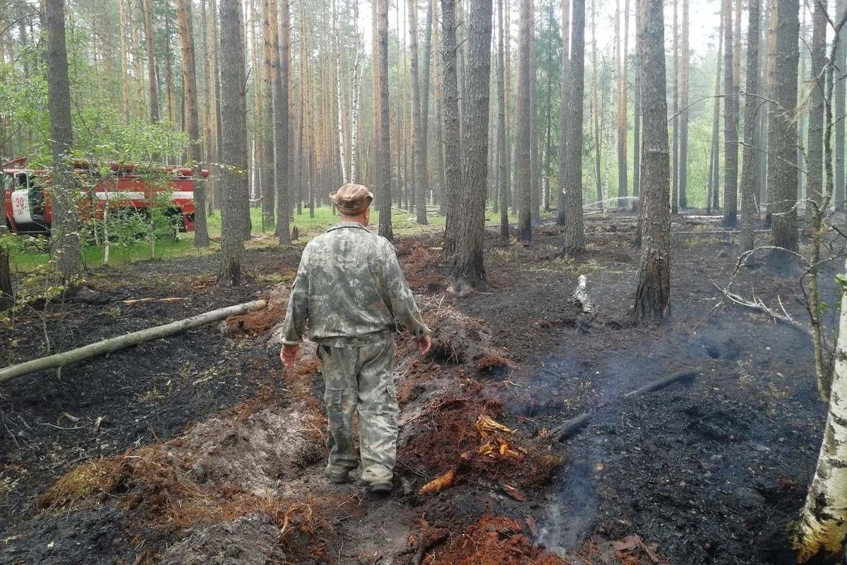 Лесной пожар в Макарьевском районе локазизован