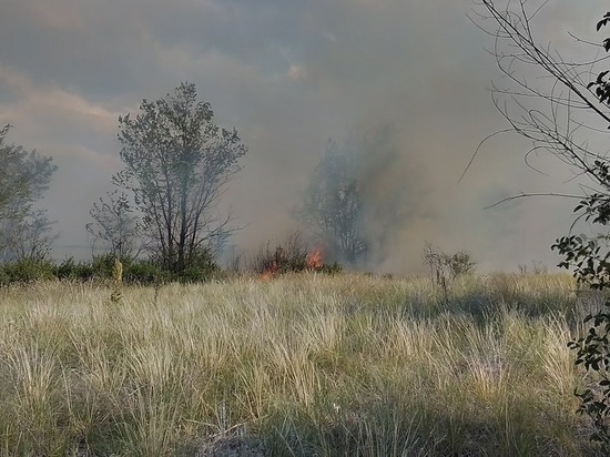 На территории восьми муниципалитетов Оренбуржья прогнозируется высокий класс пожароопасности