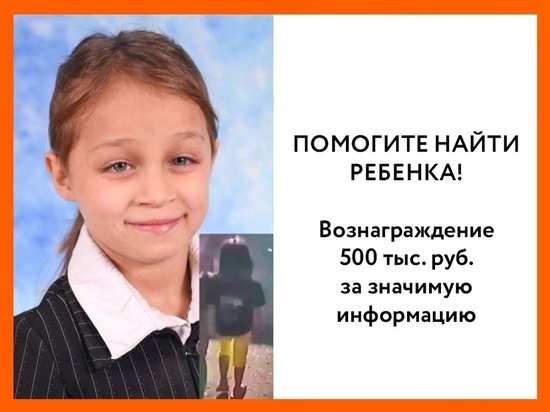 Глава Тюменской области пообещал вознаграждение в 500 тысяч за информацию о пропавшей девочке