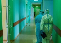 За последние 24 часа в Новосибирской области зафиксировано еще 185 случаев заражения коронавирусом