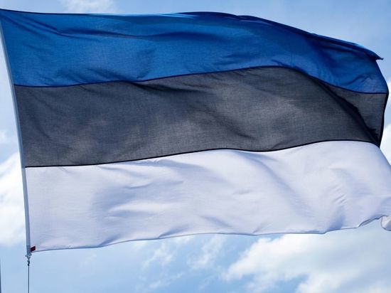 Консула Эстонии в Петербурге объявили персоной нон грата и дали 48 часов на отъезд