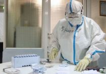 Локдаун в России вводить смысла нет, но дистанционную работу можно было бы усилить к концу лета