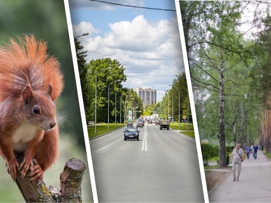 Где погулять в Академгородке: топ-7 мест для пеших прогулок летом 2021