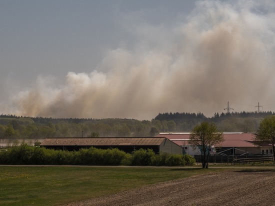 Жители Башкирии жалуются на смог от лесных пожаров