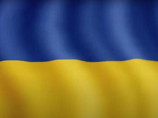 Украина захотела ввести санкции против сына Лукашенко