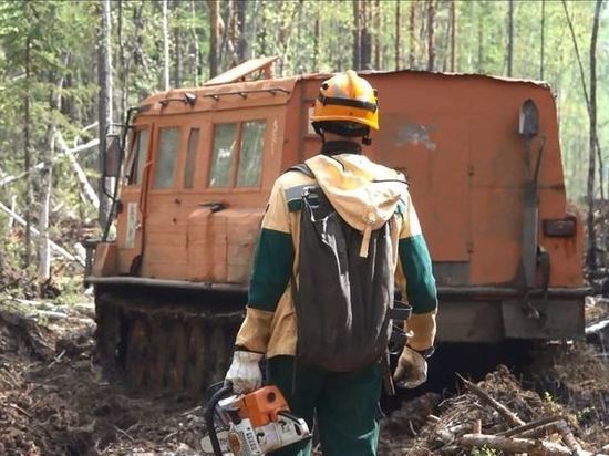 Пять пожаров потушили за сутки в лесах Приангарья