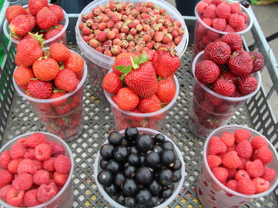 Торговля в разгаре: какие ягоды и за сколько можно купить в Барнауле