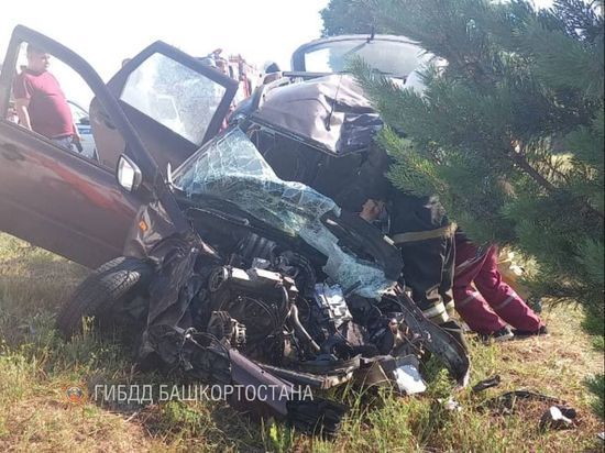 В Башкирии водитель легковушки погиб в аварии с грузовиком