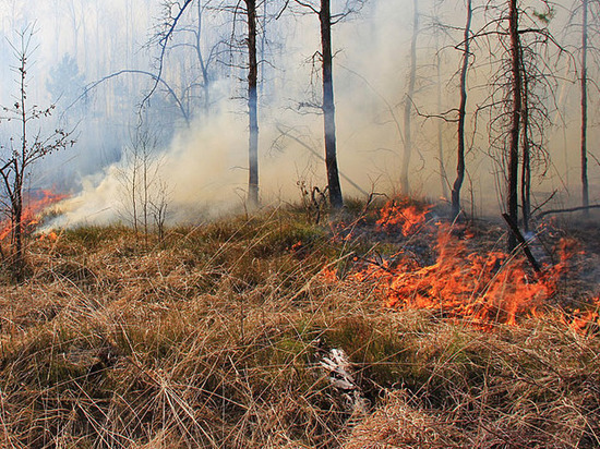 В Костромской области оперативно ликвидирован один лесной пожар и локализован другой
