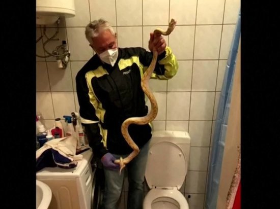 Сидевшего в туалете австрийца укусил питон