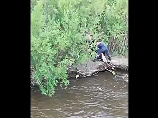 Тело мужчины нашли в реке Чите