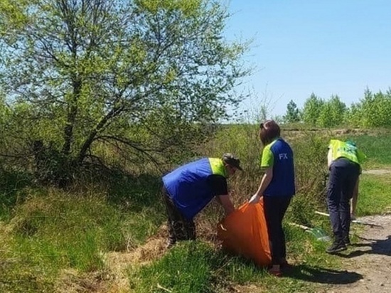 Субботники отменили из-за COVID-ограничений в Чите