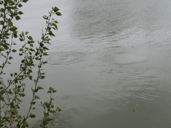 В Бузулуке водолазы не смогли обнаружить тело утонувшего местного жителя