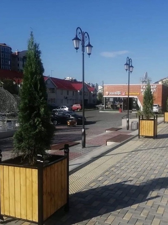 Кадки с туями экспериментально установили на улицах Салехарда