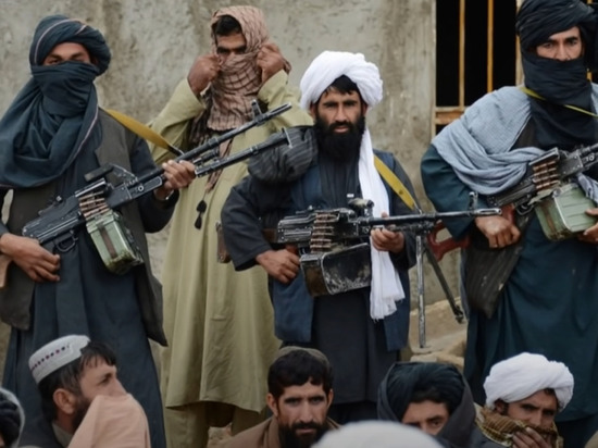 Политолог предрек России войну в Средней Азии из-за усиления «Талибана»