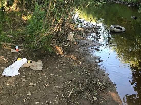 Новгородцев зовут убирать покрышки и кирпичи у реки Веряжки