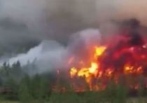 В Челябинской области загорелся от лесного пожара второй поселок