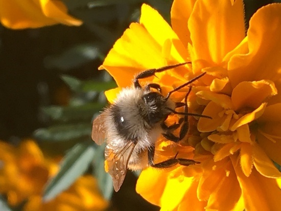 В субботу смолянам предстоит постараться не «сгореть» на солнце