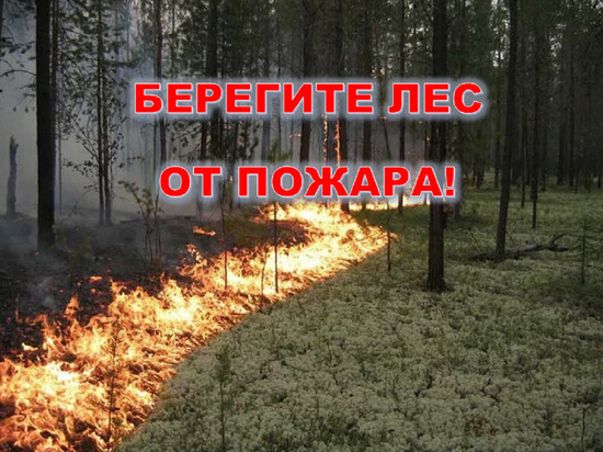 Природный пожар локализовали на Ямале