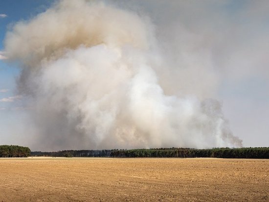 Оренбуржье накрывает дым от пожаров в лесах Челябинской области