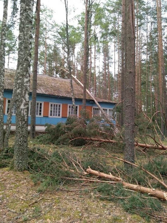 Жители Псковской области могут получить компенсацию ущерба в связи с ураганом